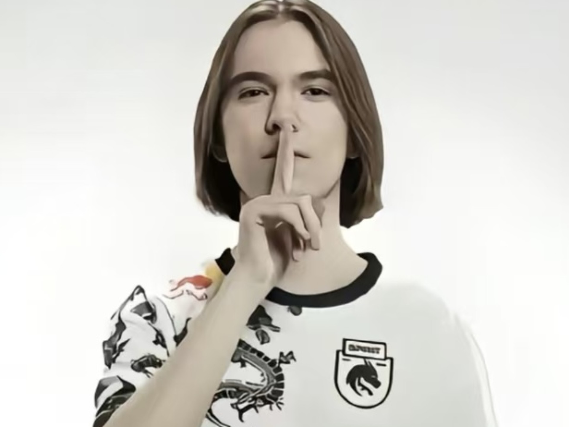 熟练的